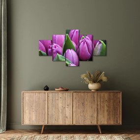 Obraz - kwiaty tulipanów (125x70 cm)