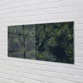 Szklany Panel Gałązki choinka