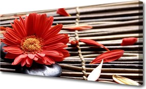 Obraz na płótnie Delikatność Płatków Kwiatowych