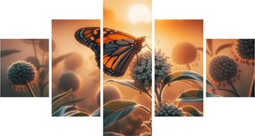 Obraz – Motyl w zachodzącym słońcu (125x70 cm)