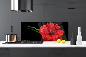 Szkło Dekoracyjne do Kuchni Samotny Mak w Polu