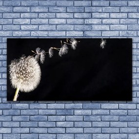 Obraz canvas Lekkość Polnego Dmuchawca