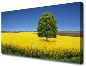 Obraz Canvas Łąka Drzewo Natura Pole