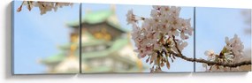 Obraz - Sakura (170x50 cm)