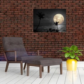 Obraz - Plaża pod pełnią księżyca w odcieniach szarości (70x50 cm)