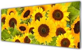 Panel Szklany do Kuchni Radosne Słoneczniki