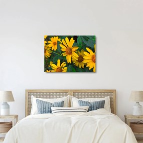 Obraz na szkle - żółte kwiaty (70x50 cm)