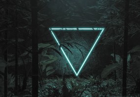 Fototapeta - Neonowy trójkąt w dżungli (196x136 cm)