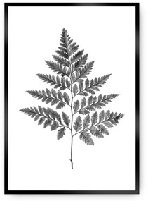 Plakat Fern Grey