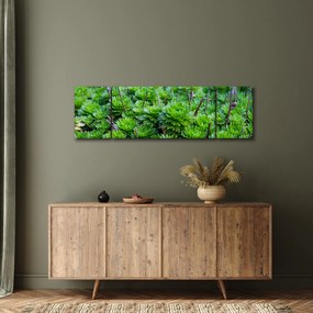 Obraz sukulentów (170x50 cm)