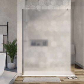 Ścianka prysznicowa EX101 Walk-In
