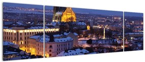 Obraz - Katedra św. Piotra i Pawła, Brno, Czechy (170x50 cm)
