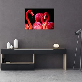 Obraz czerwonych flamingów (70x50 cm)