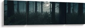 Obraz - Paproć w świetle księżyca (170x50 cm)