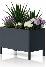Osłona donica na kwiaty metalowa duża antracytowa: DAISY 500 x 400 x 300 mm