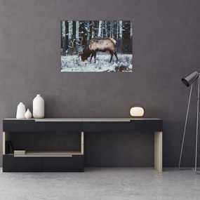 Obraz - jeleń zimą (70x50 cm)