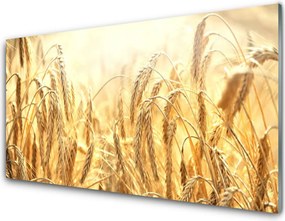 Panel Szklany Dojrzałe Kłosy Zboża