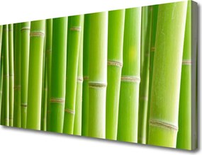 Obraz na płótnie Egzotyczny Kwiat i Bambus