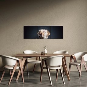 Obraz labradora (z zegarem) (90x30 cm)