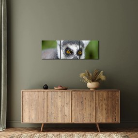 Obraz lemura (z zegarem) (90x30 cm)