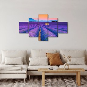 Obraz - Lewndowe pole (125x70 cm)