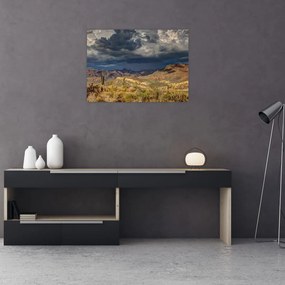Obraz na szkle - kaktusy w przyrodzie (70x50 cm)