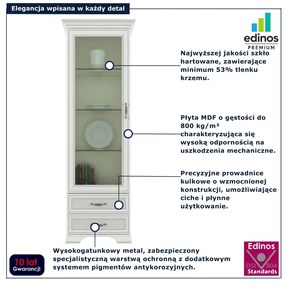 Witryna jednodrzwiowa do salonu fineline crema C3-D94