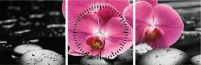 Obraz - Różowe orchidee (z zegarem) (90x30 cm)