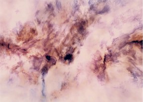 Obraz - Fantasy II. (70x50 cm)