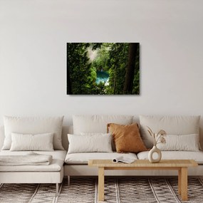 Obraz na szkle - Przestrzeń między drzewami (70x50 cm)