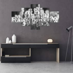 Obraz - Letnia łąka (125x70 cm)