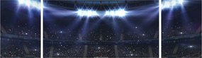 Obraz - Stadion piłkarski (170x50 cm)
