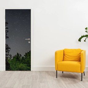 Fototapeta na drzwi - Nocne niebo (95x205cm)