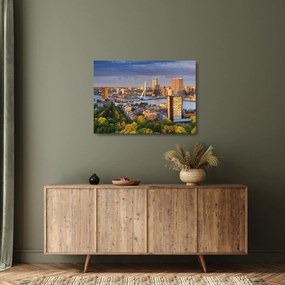 Obraz na szkle - Panorama Rotterdamu, Holandia (70x50 cm)