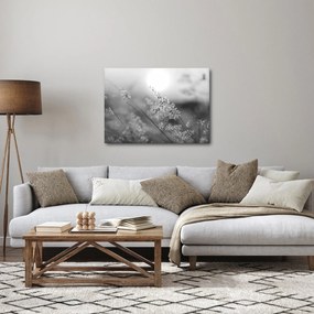Obraz - Jesienna łąka (70x50 cm)