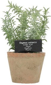 Sztuczna roślina (wysokość 21,5 cm) Thyme – Esschert Design