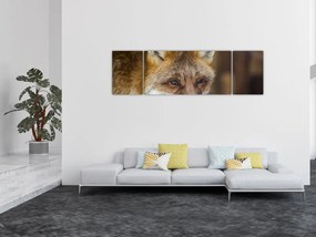 Obraz lisa (170x50 cm)