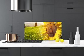 Dekor Szklany do Kuchni Złoty Słonecznik W Słońcu