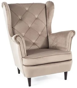 FOTEL LADY VELVET C. BEŻ BLUVEL 40 / WENGE SIGNAL