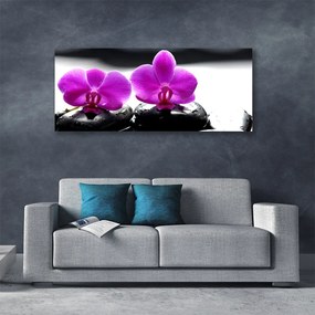 Obraz Canvas Kwiaty Orchidea Natura