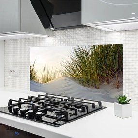 Panel Szklany Wydmy Piaszczyste I Trawy