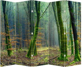 Parawan - Las (210x170 cm)