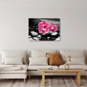 Obraz na szkle - Różowe orchidee (70x50 cm)