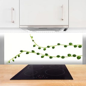 Panel Kuchenny Stylowa Roślina Dekoracyjna