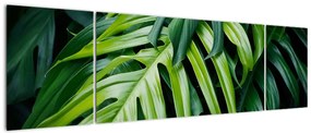 Obraz - Tropikalne liście (170x50 cm)