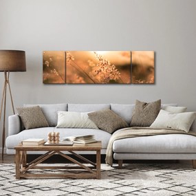 Obraz - Trawa  na słońcu (170x50 cm)