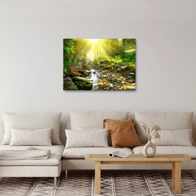 Obraz rzeki w zielonym lesie (70x50 cm)
