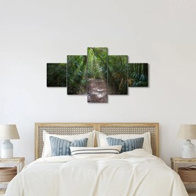 Obraz - Promienie słońca w dżungli (125x70 cm)