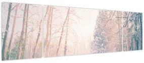Obraz - Widok na las (170x50 cm)