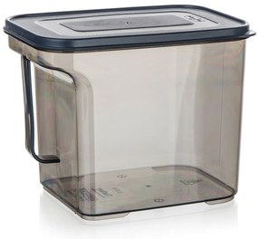 Banquet Pojemnik do przechowywania z uchwytem ZOYA2,75 l, dymny, 2,75 l